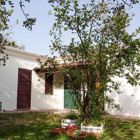Residence Cort'E Accas Бари-Сардо Экстерьер фото